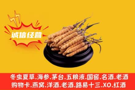 湛江市回收冬虫夏草